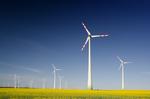 Firm creation in "green" sectors
